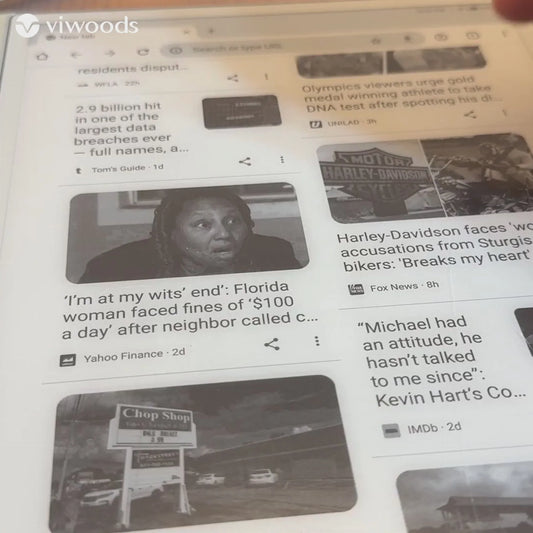 Viwoods AiPaper Mini