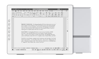 DASUNG E-ink Monitor Paperlike HD - 13.3-inches (Bright Silver)
