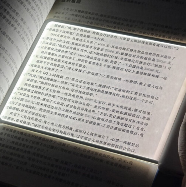Dasung Ming Reading Light for Books
