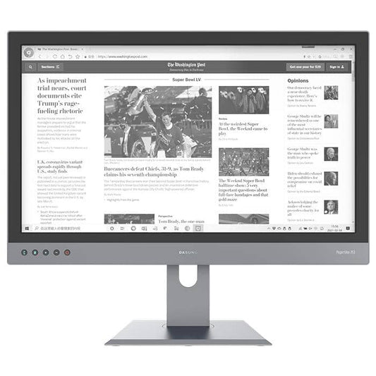 Dasung Paperlike 253 - 25 inch E INK Monitor