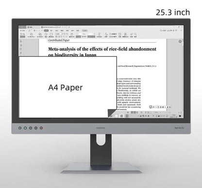 Dasung Paperlike 253 - 25 inch E INK Monitor