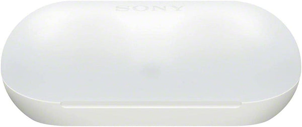 Sony WF-C500 WZ Fully Wireless Earphones