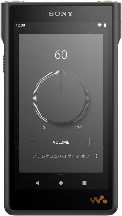 Sony Walkman 128GB WM1 Series NW-WM1AM2