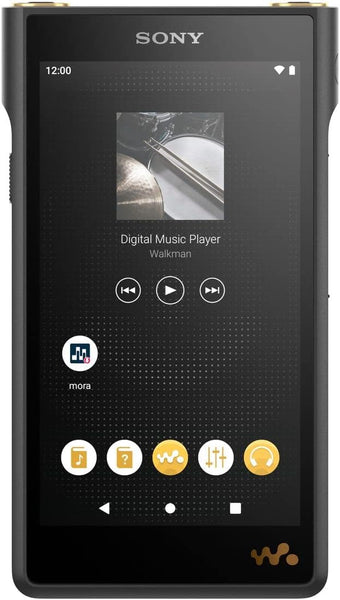 Sony Walkman 128GB WM1 Series NW-WM1AM2