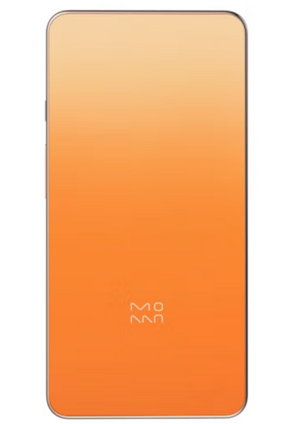 Xiaomi InkPalm Mini Plus with English