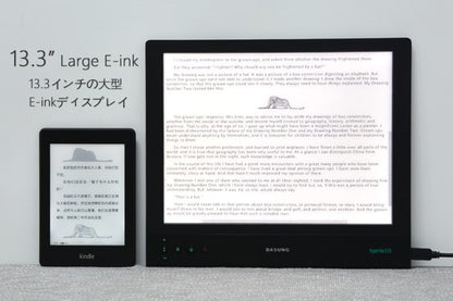 Dasung Paperlike 3 HD with Front-light and a Touchscreen